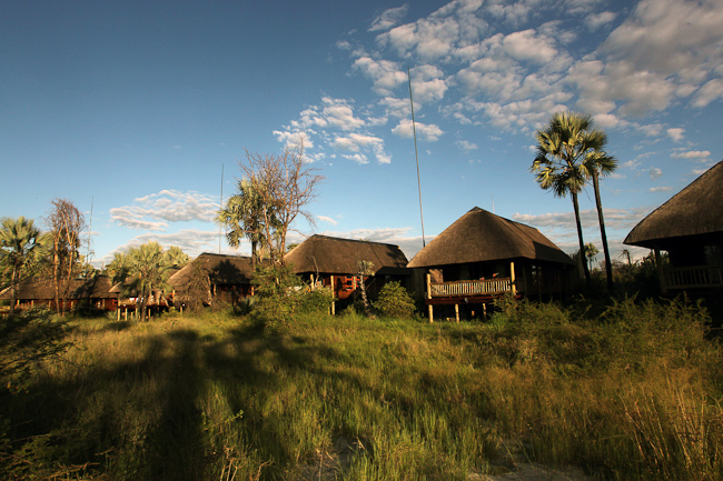 Thatched chalets