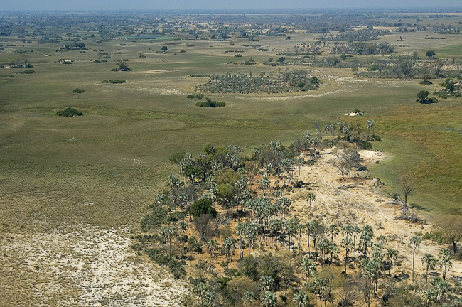 Aerial view over the Seba area