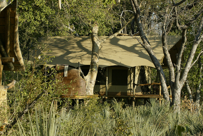 Guest tent exterior