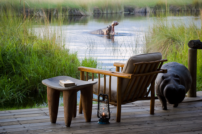 Hippo viewing from deck
