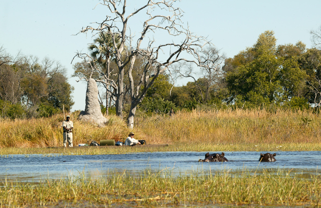Mokoros pass by hippos