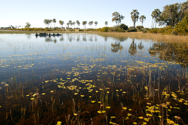 Mokoros on the Okavango water