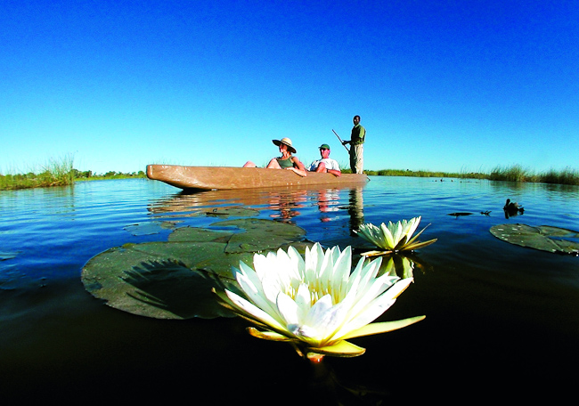 Water lily and mekoro safari
