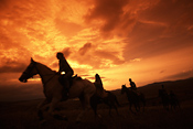 Horseback Sunset