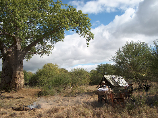 Fly camp and baobab tree