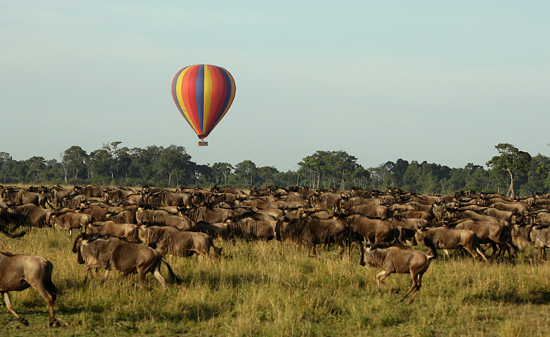 Balloon safari