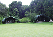 Guest Tents