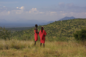 Local Samburu
