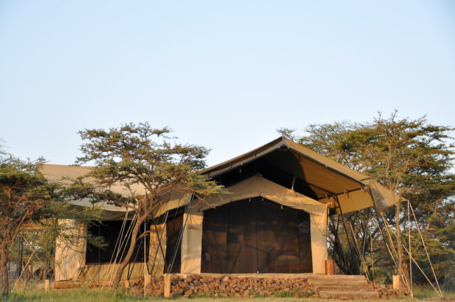 Naboisho Family Guest Tent