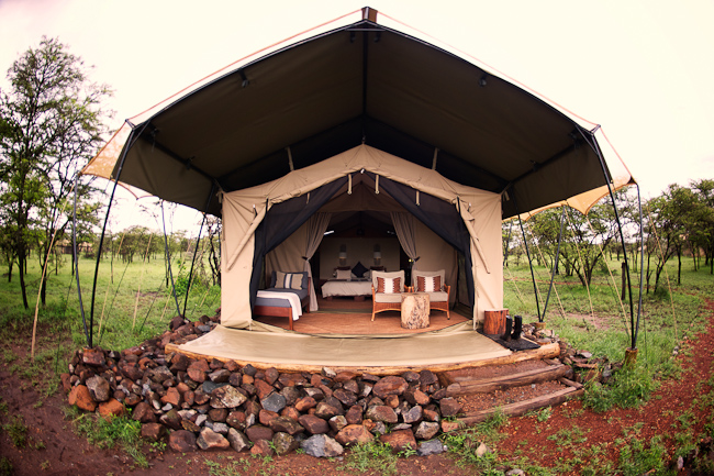 Guest tent at Naboisho Camp
