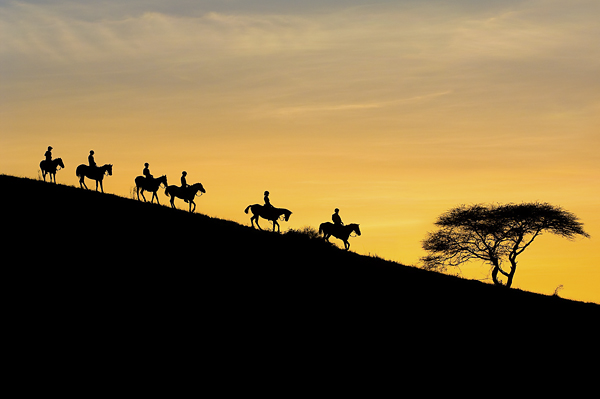 Sunset on a horseback safari