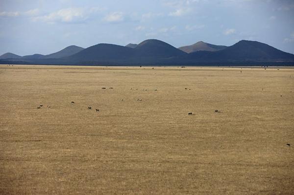 Open plains near Ol Donyo Wuas