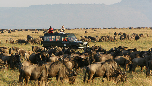 The Great Migration seen on Game Drives at Rekero Camp