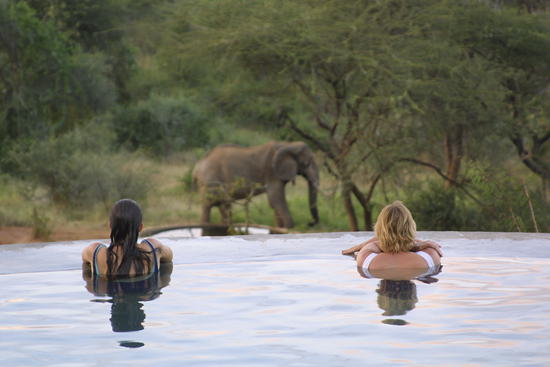 Game viewing from the pool