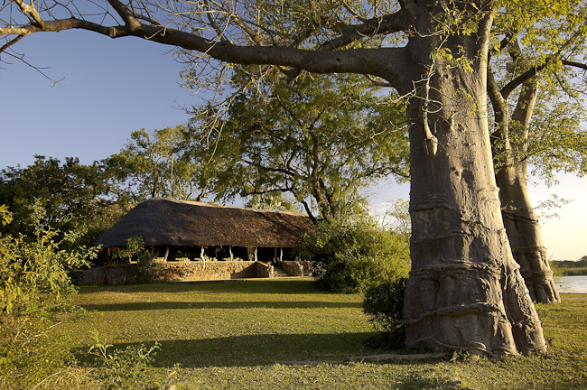 Baobab trees and main area