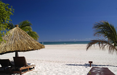 Lovely Mozambique beach at Marlin Lodge
