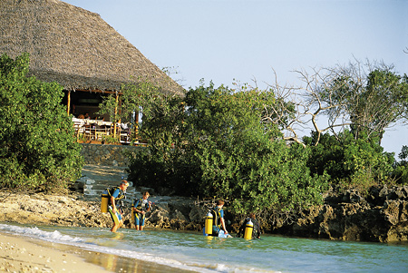 Guests preparing to dive from the beach