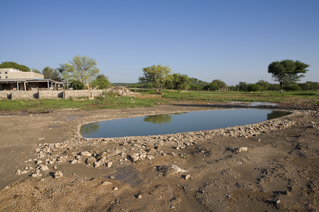 Waterhole in front of the camp