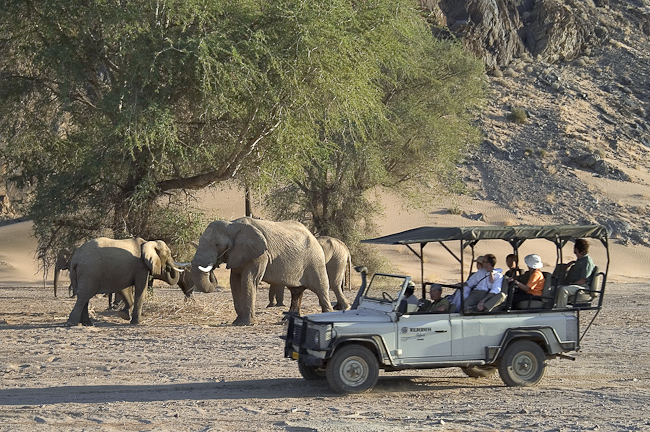 Watching elephants on game drive at Damaraland