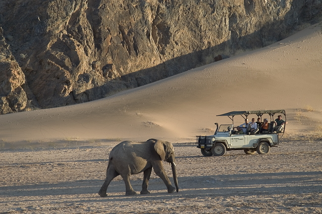 Elephant and game drive in Damaraland