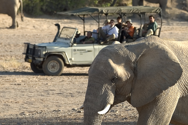 Game drive and elephant