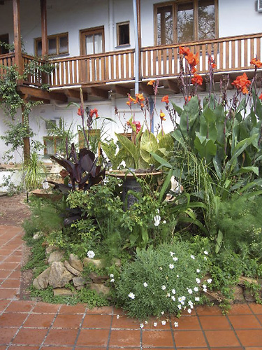 Garden and terrace
