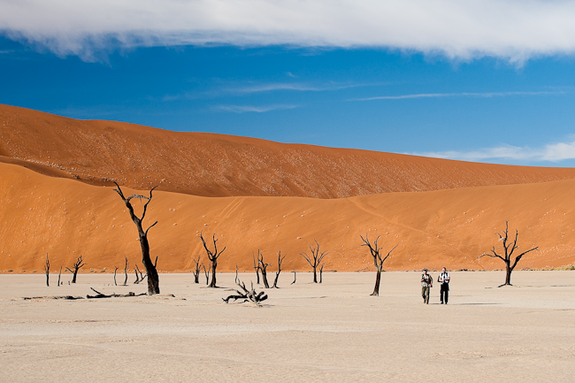 Old Camelthorn trees in Dead Vlei