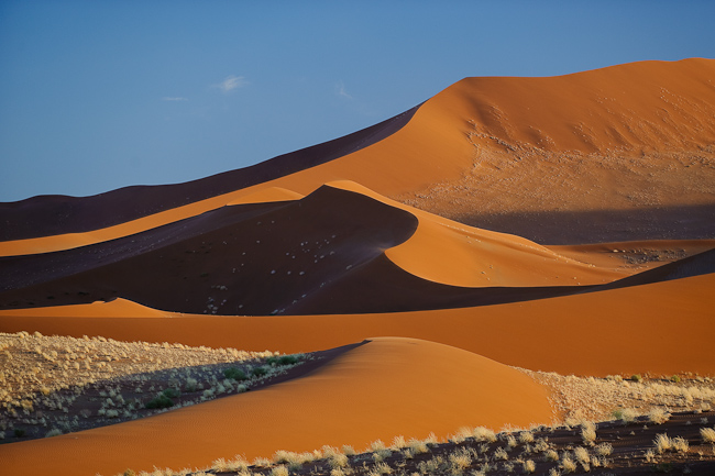 Red dunes of the Namib