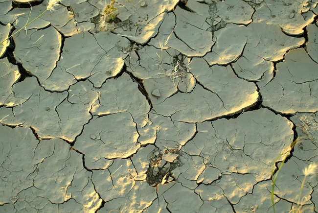 Cracked earth patterns