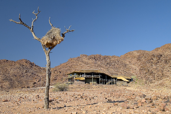Main lodge and Sociable weavers' nest
