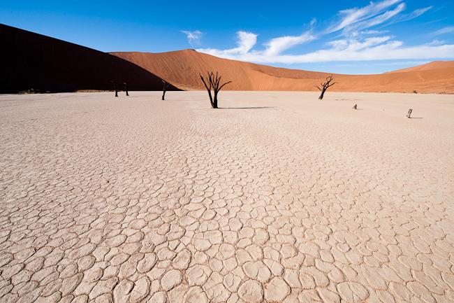 Classic beauty at Dead Vlei