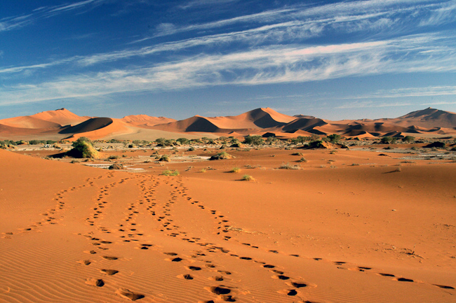 Footprints across the sand dune