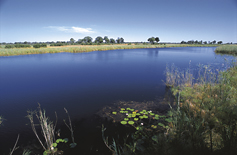 Peaceful waterway in the Caprivi
