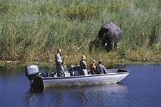 Boating on the Kwando River