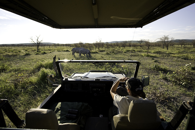 Game drive on the reserve with white rhinos
