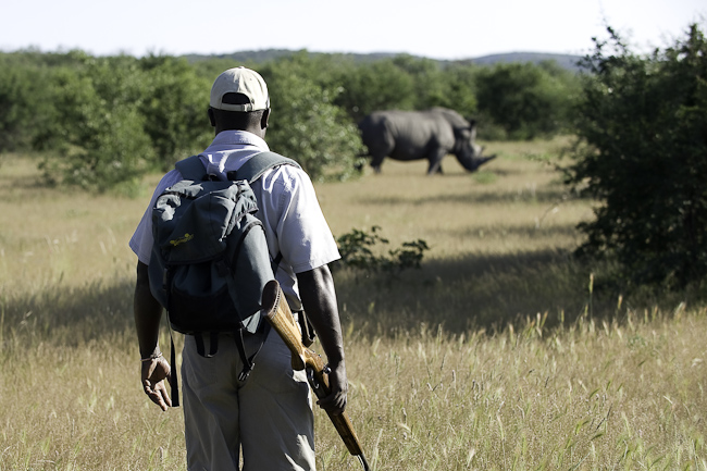 Rhino viewing on foot