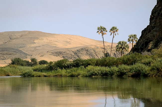 Palm trees along the Kunene river
