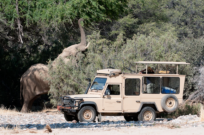 Game drive and elephant viewing