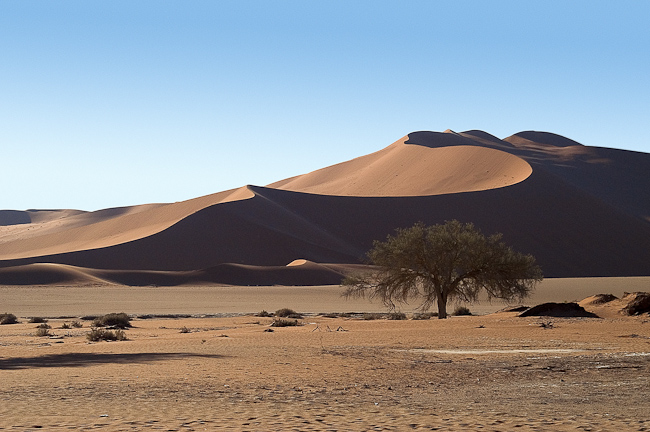 Red dunes at Sossusvlei