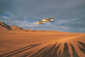 Takeoff at Wolwedans, NamibRand Nature Reserve
