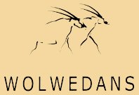 Wolwedans Dunes Lodge and Wolwedans Dune Camp in Namibia's NamibRand Private Nature Reserve