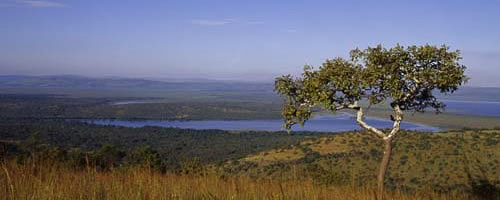 View of Akagera