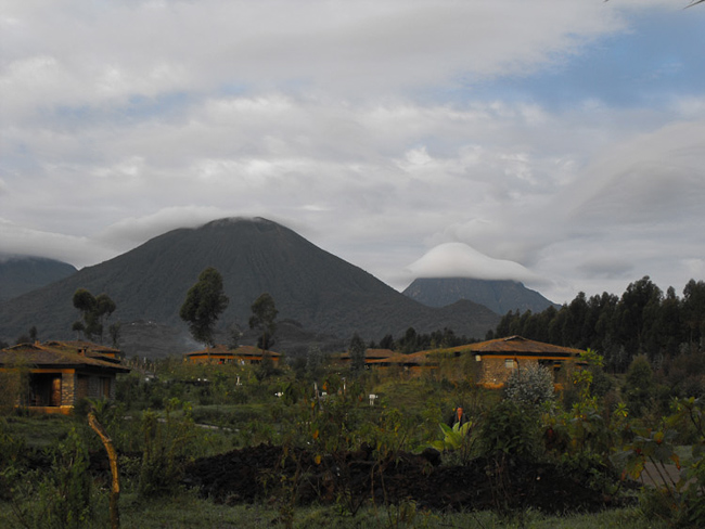 View of Mountain Gorilla View Lodge