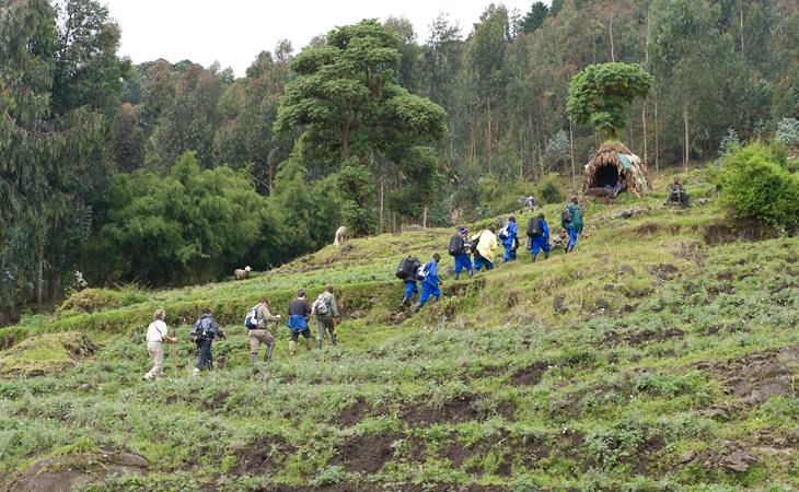 Trekking through farm fields en route to Bisoke volcano and Ugyenda Group, Rwanda