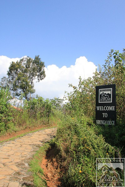 Welcome to Virunga Safari Lodge