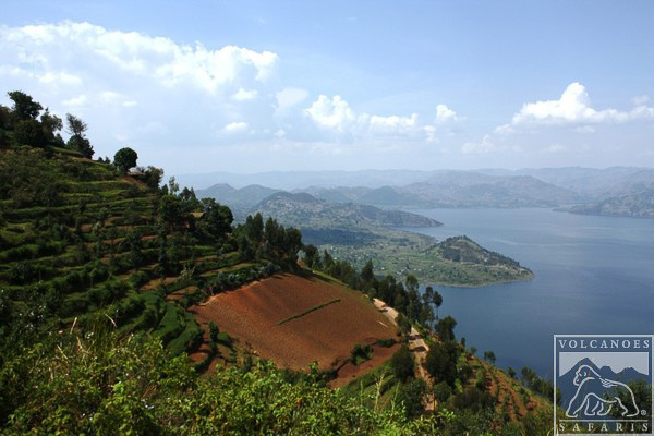 View from Virunga Safari Lodge