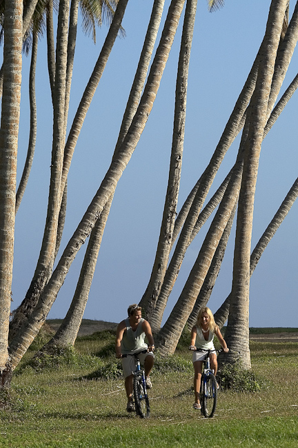 Biking among the palms