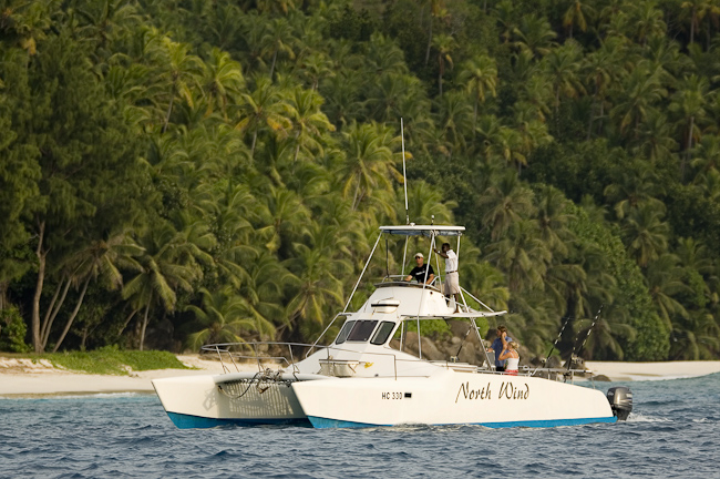 North Island catamaran