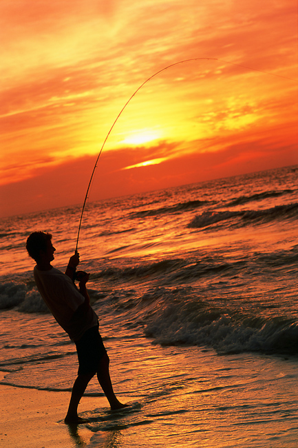 Surf fishing at sunset