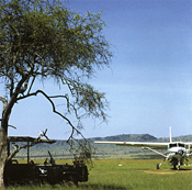 Arriving on the airstrip